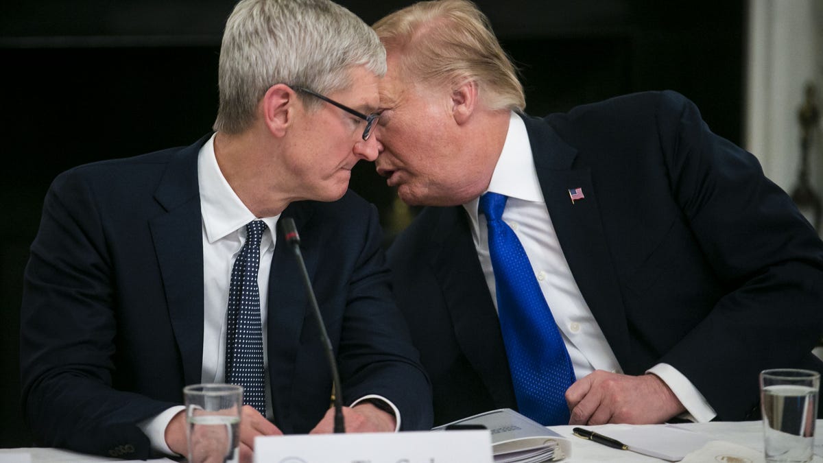 Apple's $500 billion plan woos Trump — and shows that Tim Cook is '10% politician,' analyst says