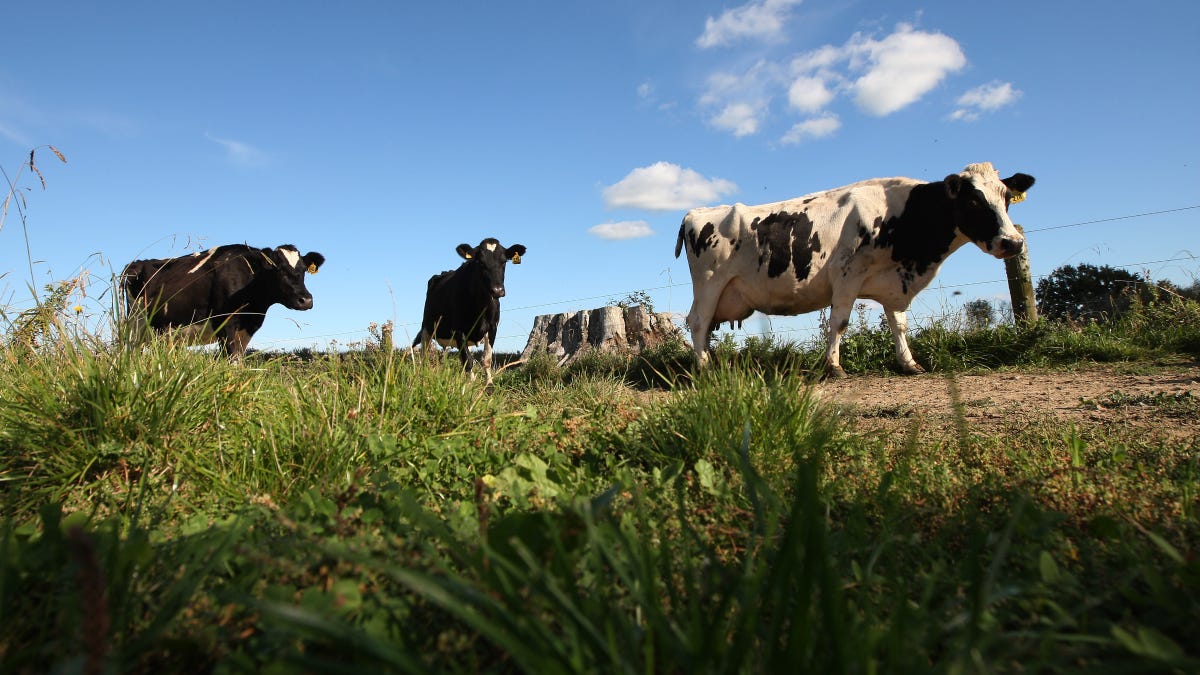 Milk-thirsty China overtakes Australia as New Zealand’s top export market