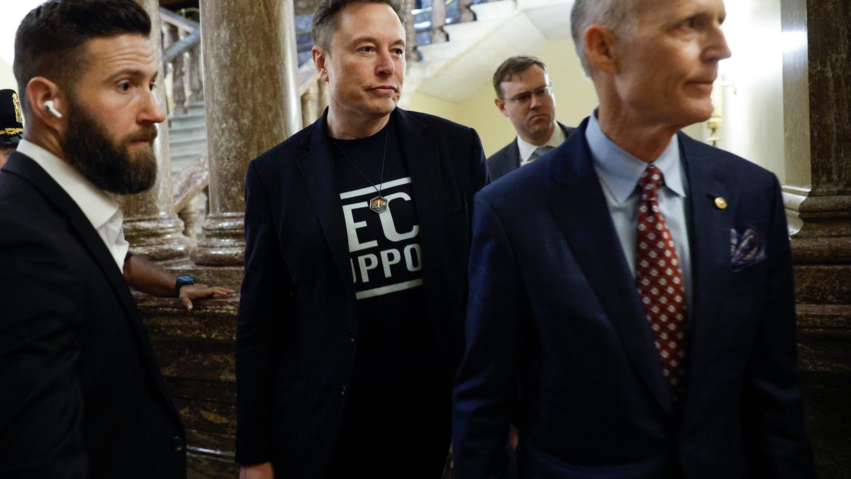 Tesla's biggest fan on Wall Street says worries over Elon Musk's politics are overblown