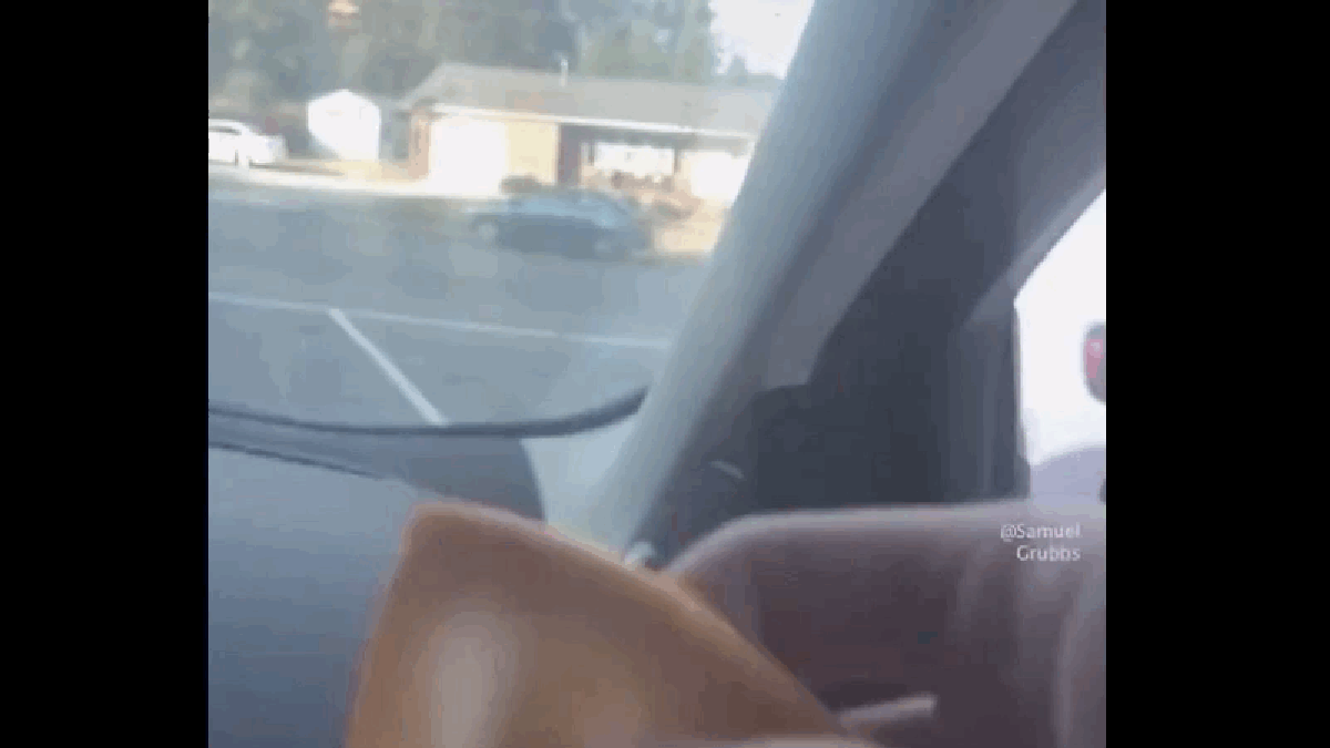 People Are Throwing Cheese At Cars Because A TikTok Challenge