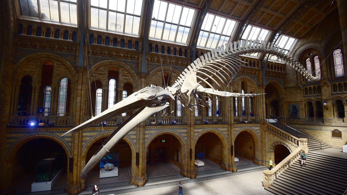 The Natural History Museum and Science Museum held an epic Twitter battle