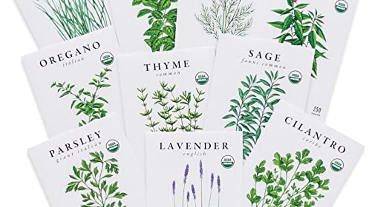 Sunflowe Seed Collection (7-Pack) - Seeniseed