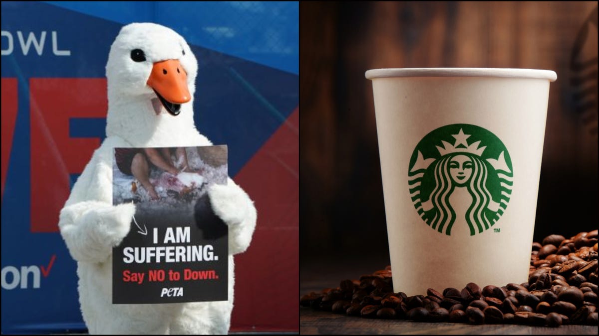 PETA Really Wants Starbucks To Stop Charging Extra For Non-dairy Milk