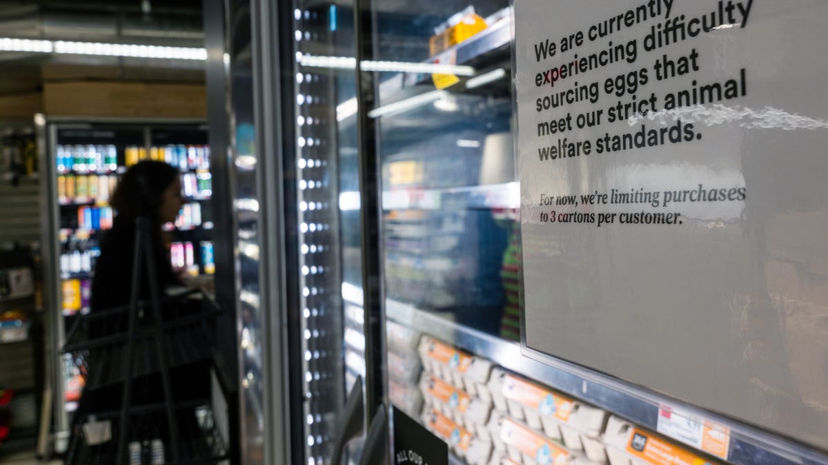 More eggs are coming to America as prices surge