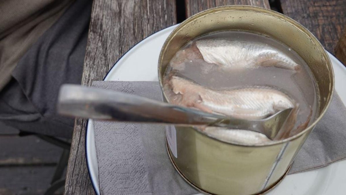 What does surströmming smell like? - SURSTRÖMMING - THE OFFICIAL STORE
