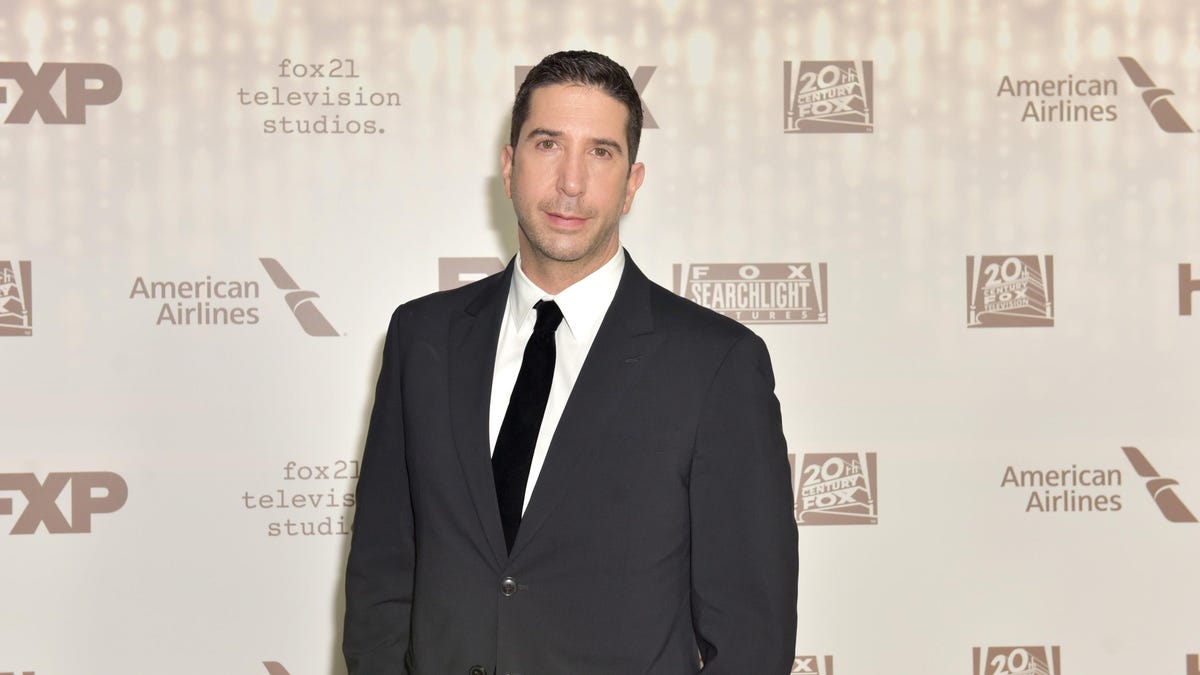 David Schwimmer is going to give you Goosebumps