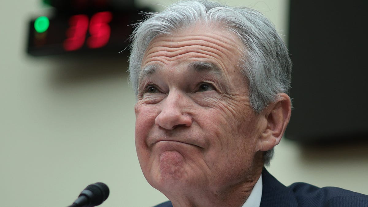 Think a Fed interest rate hike is off table? Think again, fund manager says