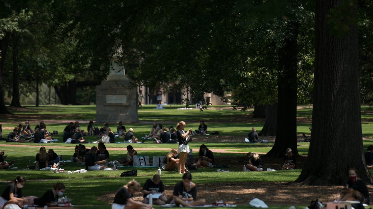 New college grads are entering a workforce shaped by chaos. Here's how they're preparing