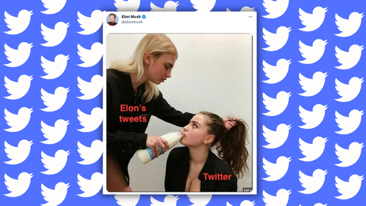 She Worked for Twitter. Then She Tweeted at Elon Musk. - The New