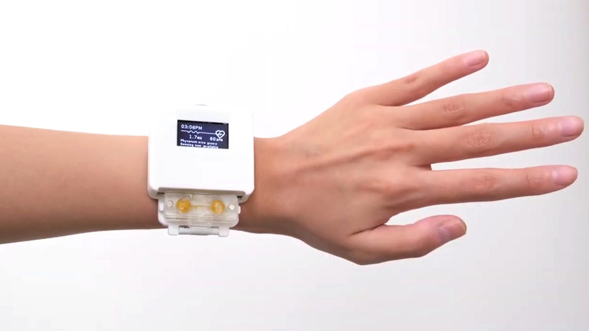 Tamagotchi smartwatch will let you live your '90s dream - CNET