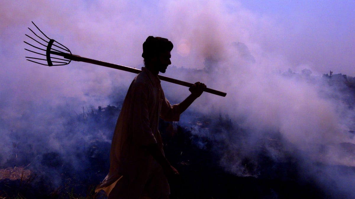 Delhi pollution: NASA's images show crop burning peaks in Punjab