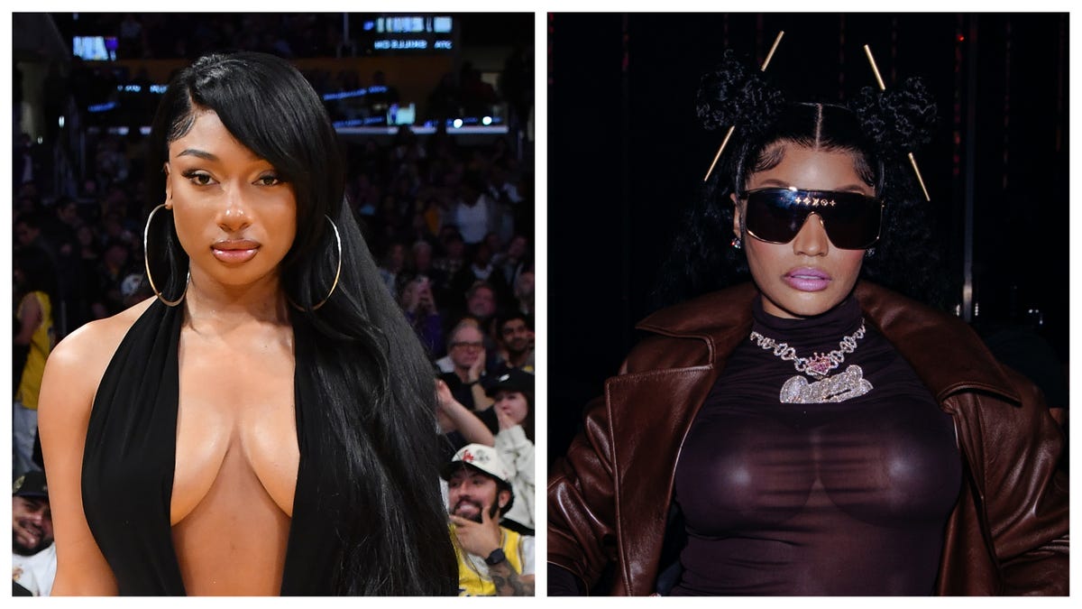 Why the Megan Thee Stallion, Nicki Minaj Beef? Fans to Blame?