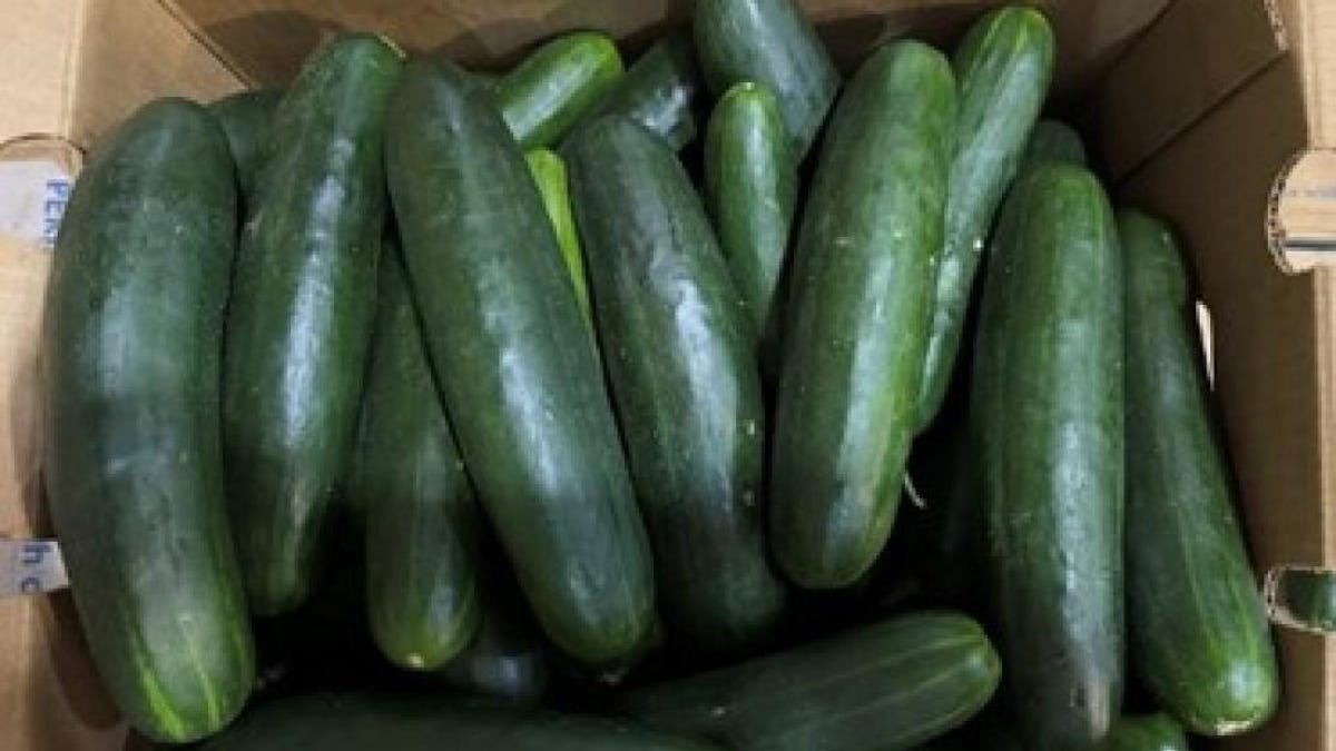 CDC Says Cucumbers Likely Cause of Salmonella Outbreak in 25 States
