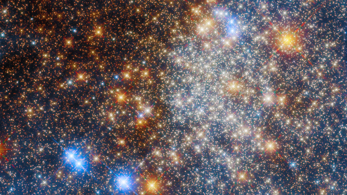 Hubble Beholds Brilliant Blue Star Cluster - NASA Science