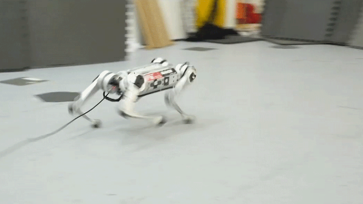 This Cheetah Robot Taught Itself How to Sprint in a Weird Way