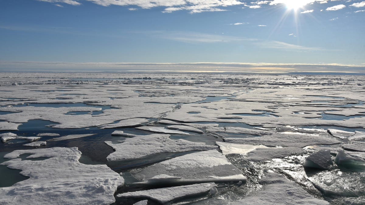 Podríamos estar a sólo unos años de un Ártico sin hielo