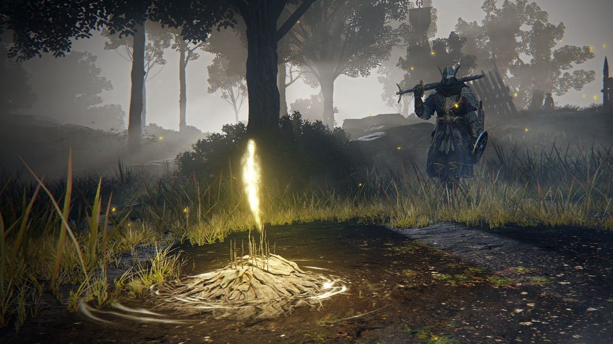 Every Status Effect In Elden Ring Nightreign, And How To Cure It
