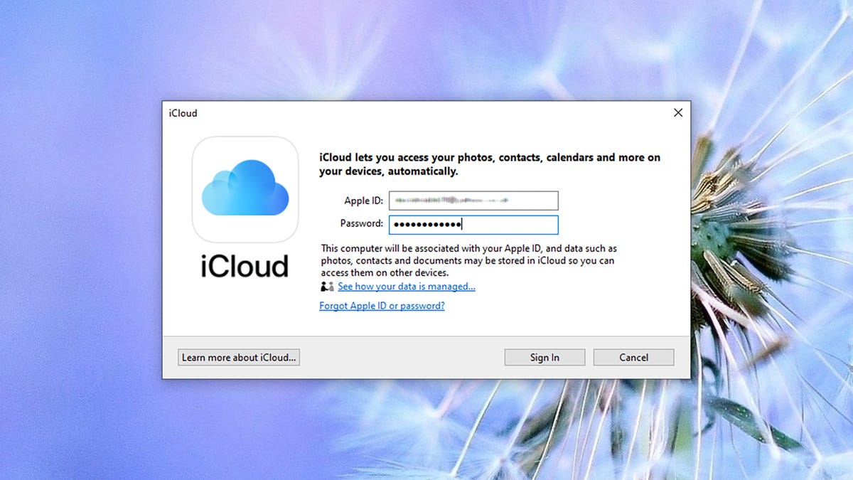 How To Sync All Of Your ICloud Passwords And Data To Windows