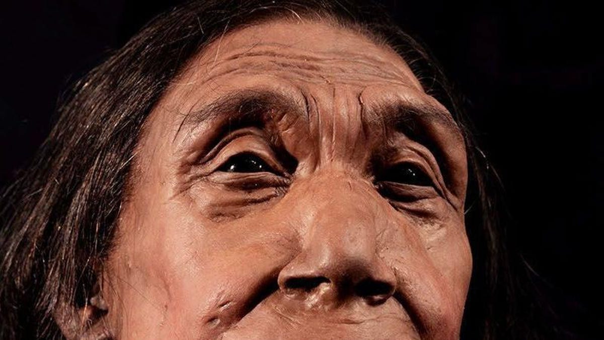 photo of Researchers Reconstruct Neanderthal Face From Crushed 75,000-Year-Old Skull image
