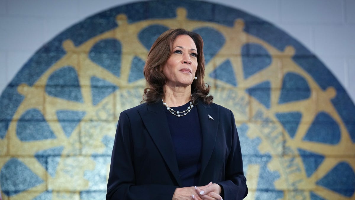 Kamala Harris wants to combat high food bills by banning “price gouging”