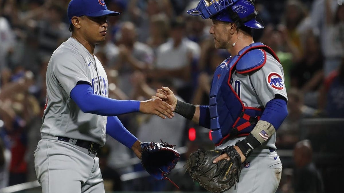 Chicago Cubs catcher Yan Gomes (15) in the top of the fourth