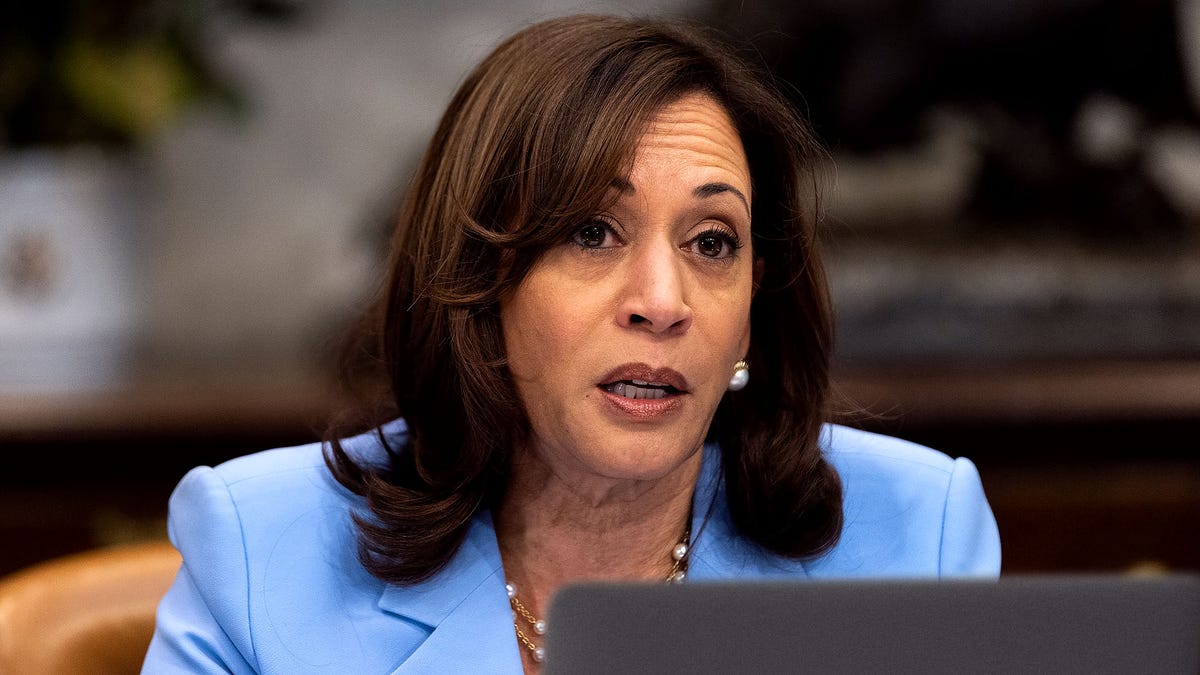 Kamala Harris Donates 7 To Biden Reelection Campaign