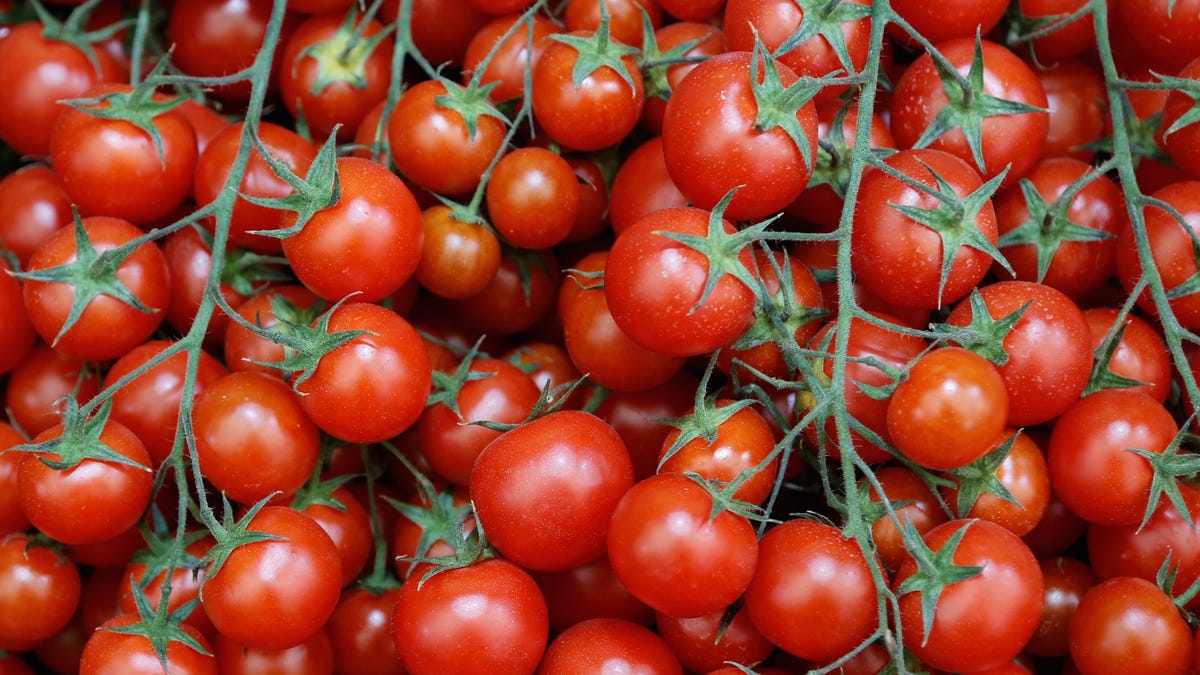 A desert farm is growing tomatoes on seawater and solar power