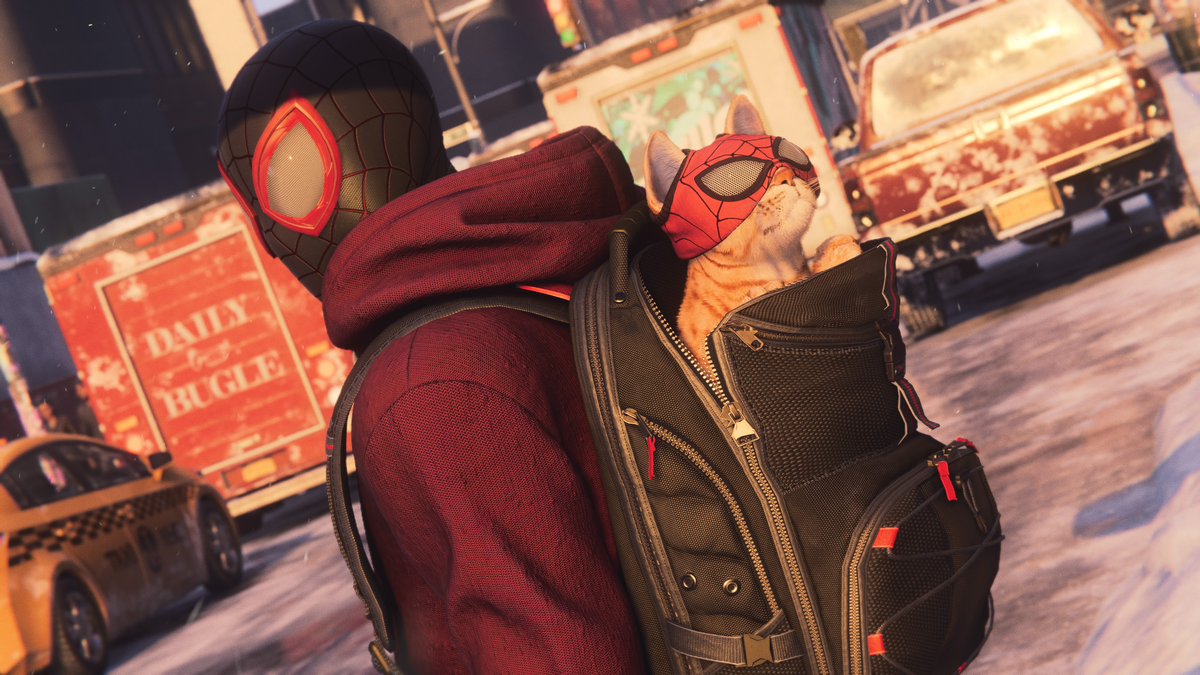 Spiderman Miles Morales with Spider-cat