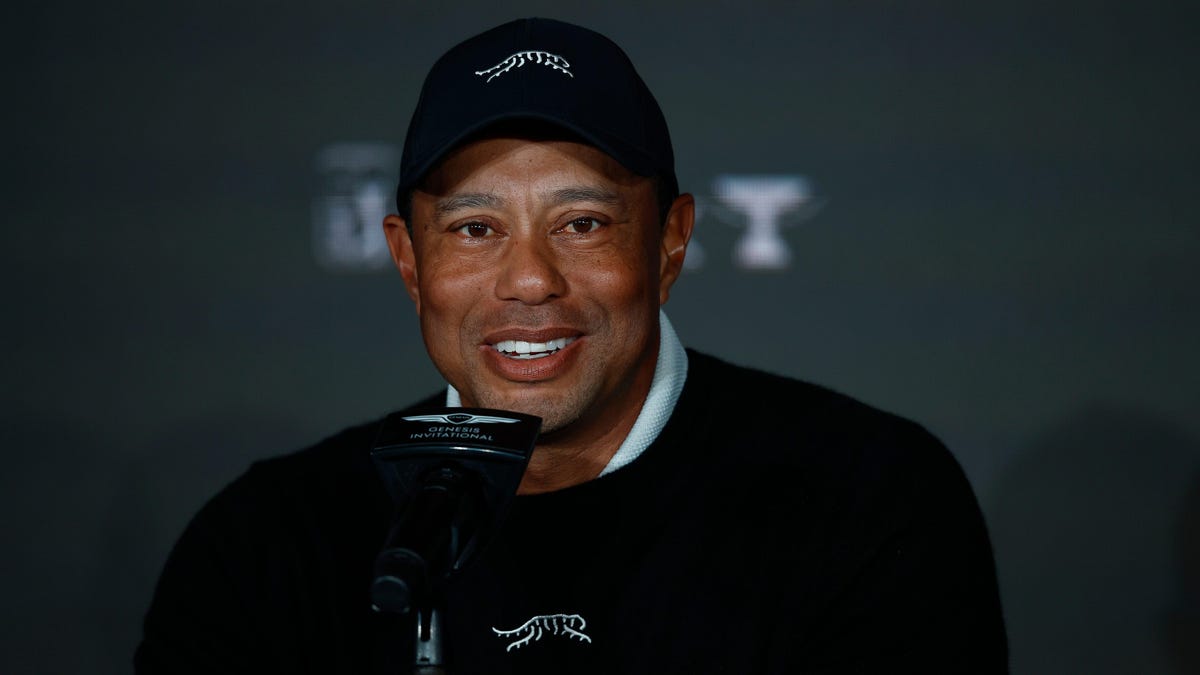 Tiger Woods is fine with Saudi blood money funding PGA