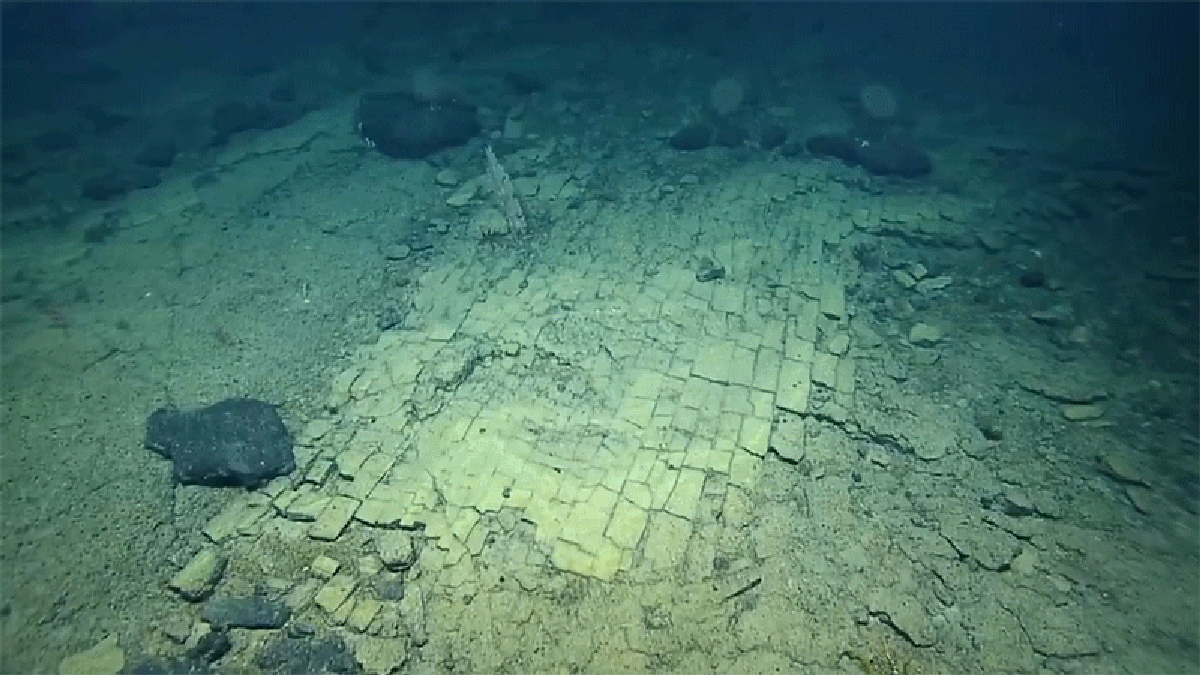 'Road to Atlantis' Discovered on Seafloor Is Not Road to Atlantis