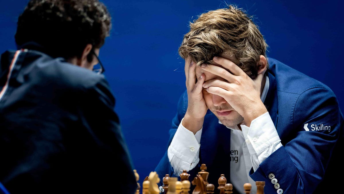 Magnus Carlsen Chess - clube de xadrez 