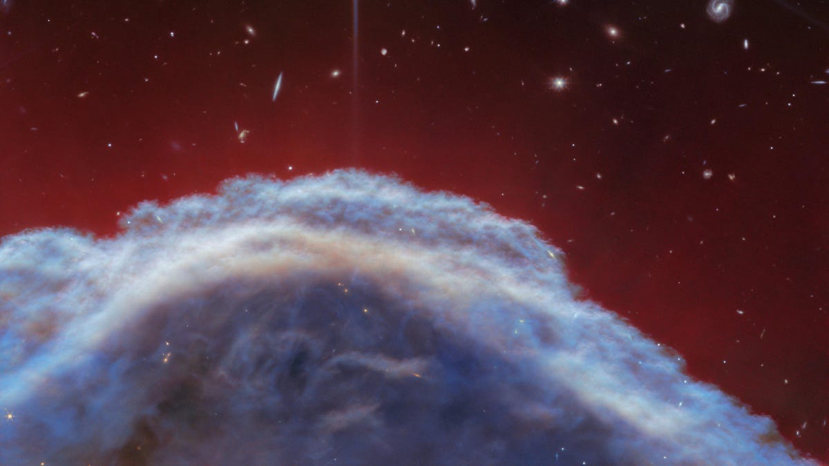 The Details Are Unreal in New Webb Image of Famous Horsehead Nebula  Gizmodo