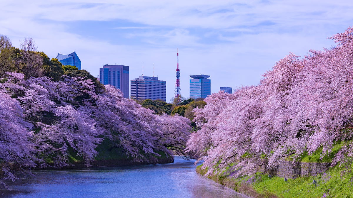 How the Tokyo 2020 Games will mark the start of a zero emissions future