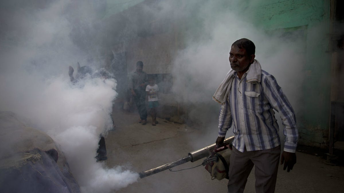 Delhi Is Fighting Its Worst Dengue Outbreak In Five Years—and It Might ...