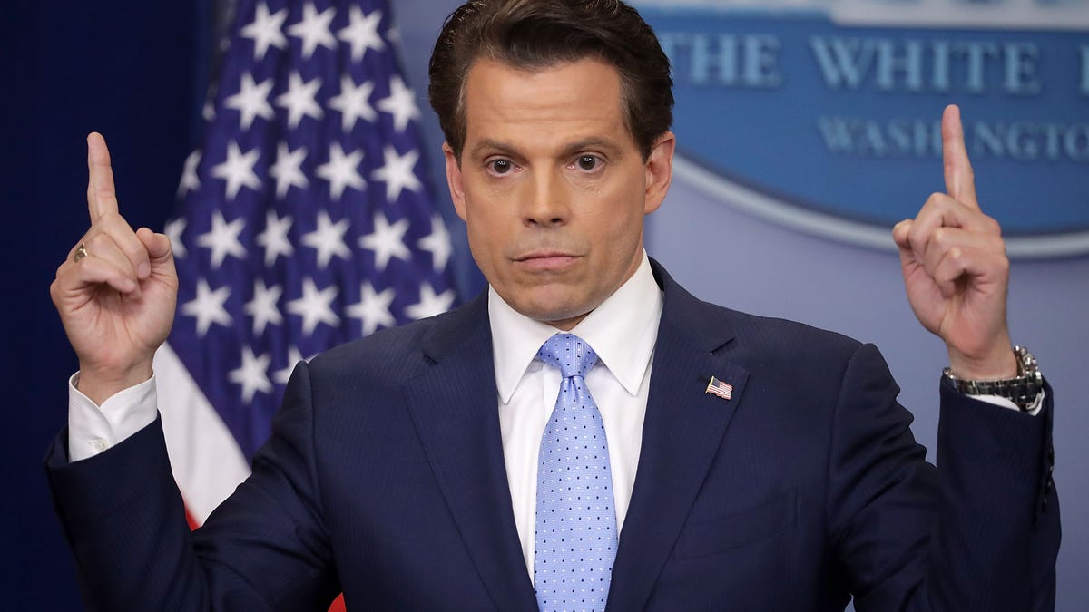 Bitcoin is here to stay but meme coins have hurt the crypto market, Anthony Scaramucci says