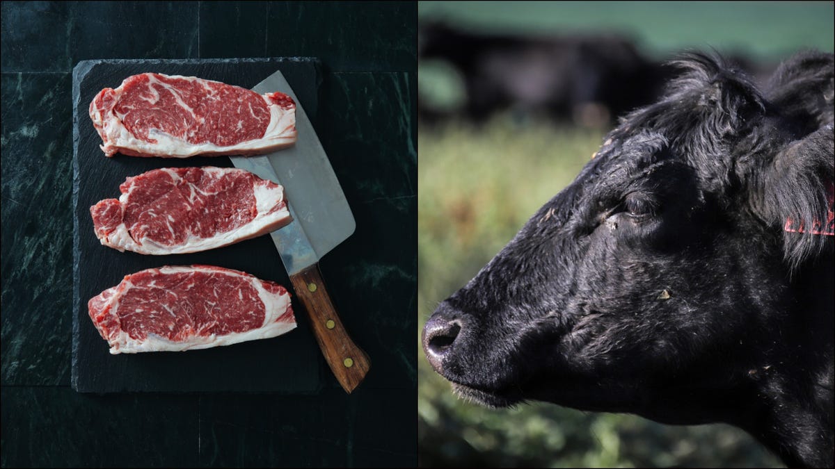 About the Beef  Certified Angus Beef® brand - If it's not certified, it's  not the best.