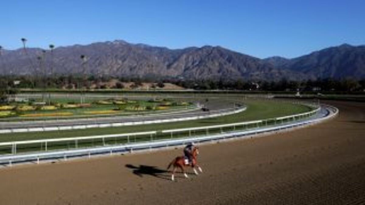 29th Horse Dies At Santa Anita One Day After Officials Tell Track To