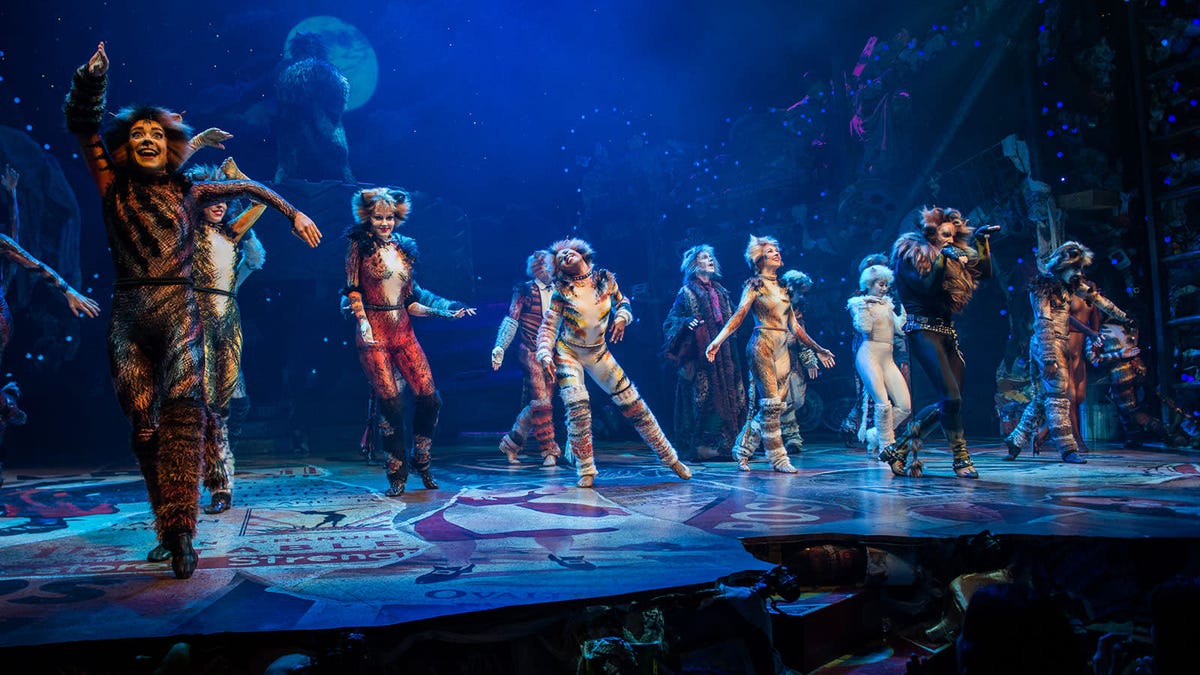 Cats the Musical' is a purrfect evening out for broadway fans