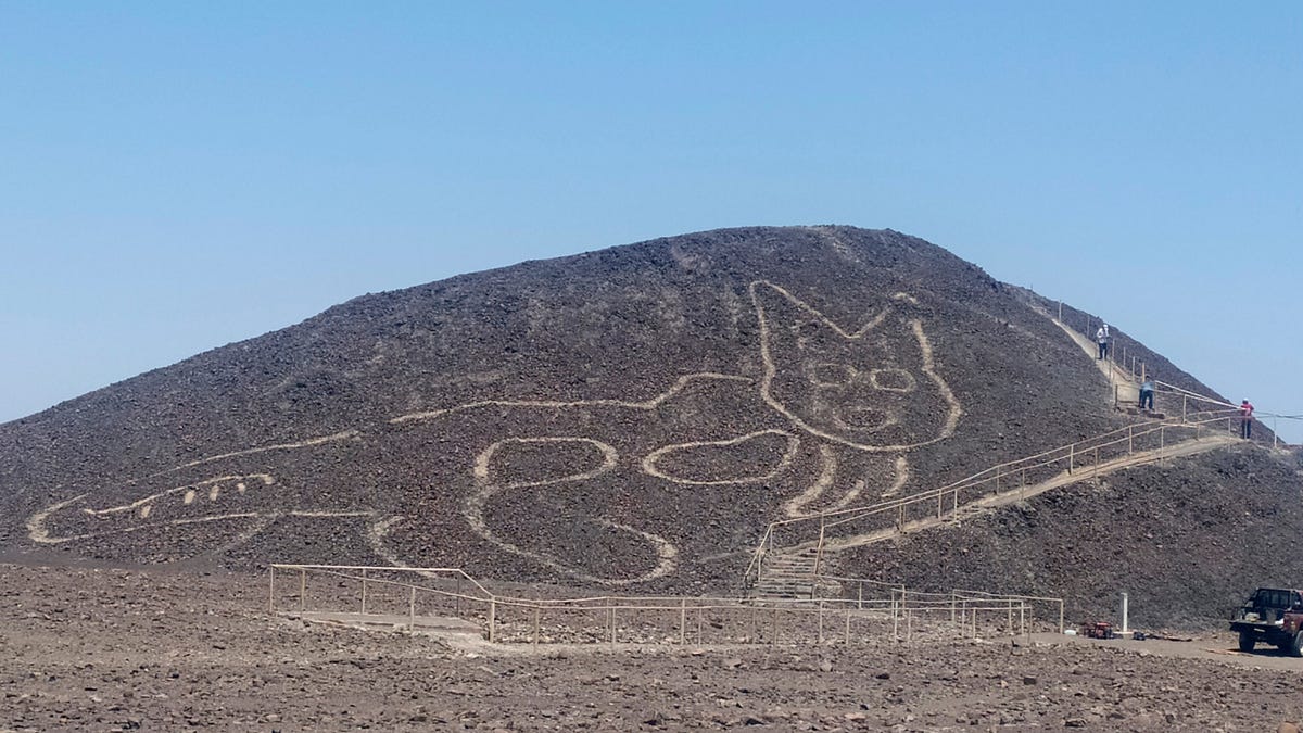 Ancient, 120-Foot-Wide Cat Drawing Found at Nazca Lines Site in Peru