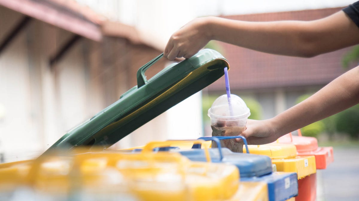 How to dispose of food containers, waste, accessories from summer