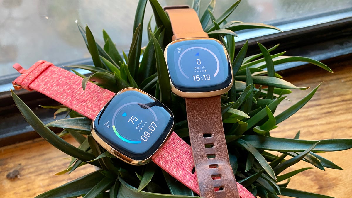 Emerald and copper online fitbit