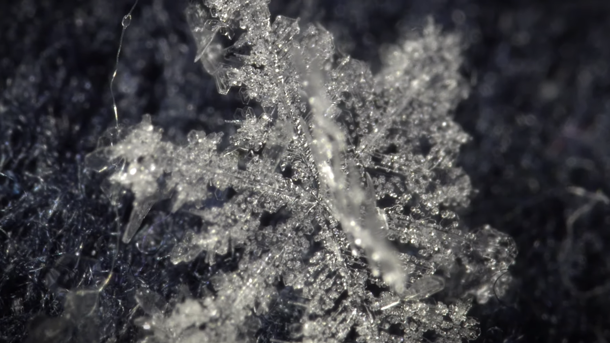 Este video en reversa de copos de nieve derritiéndose es fascinante