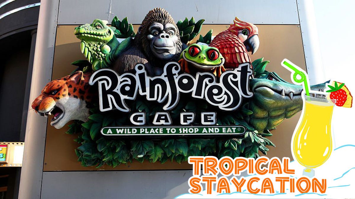 Schlock and awe: 3 grown-ups try Rainforest Cafe