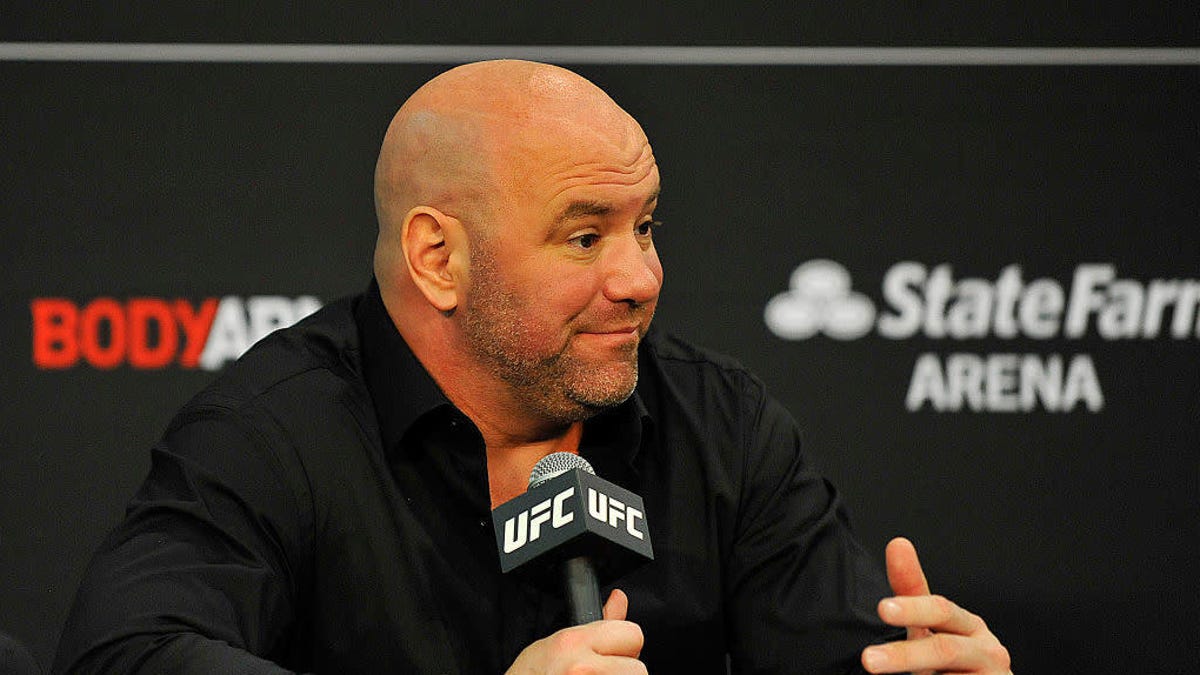 ufc gay pride shirt