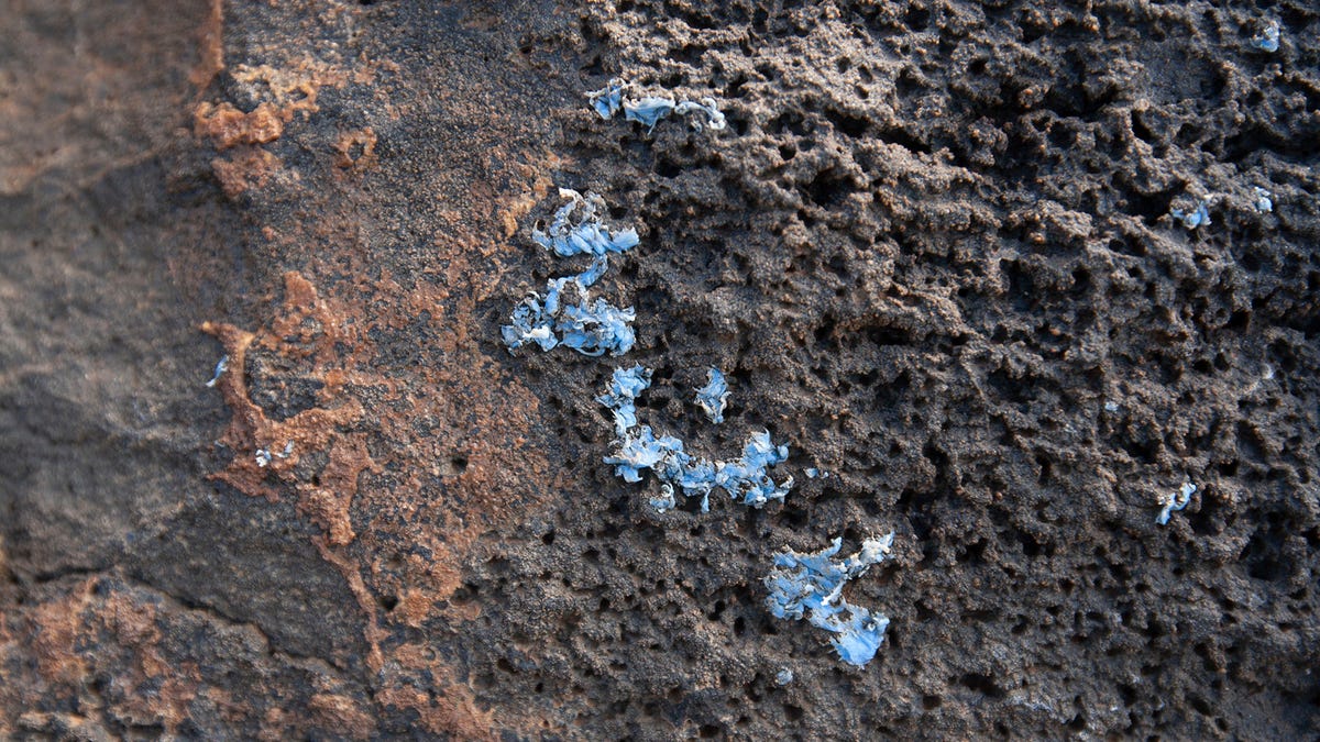 Plastic waste found chemically bonded to rocks in China