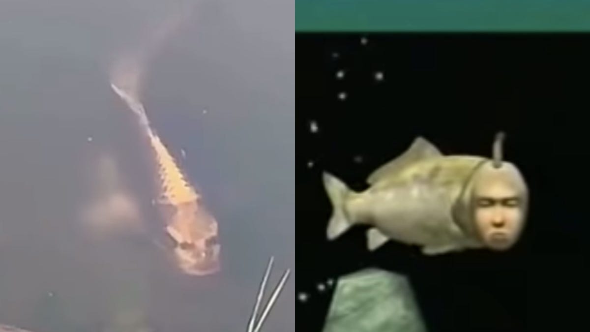 This nightmare fish with a human face is reminding people of Dreamcast's  Seaman
