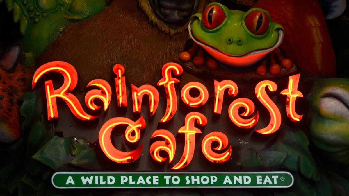 Rainforest Cafe Closes on January 1 Along With Other Chicago Restaurants –  UrbanMatter
