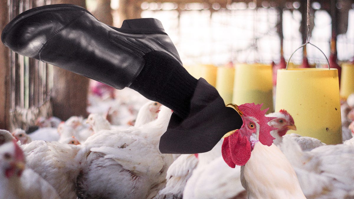 ‘the Food Supply Chain Is Breaking Down ’ Screams Tyson Ceo Being Swallowed Whole By Chicken