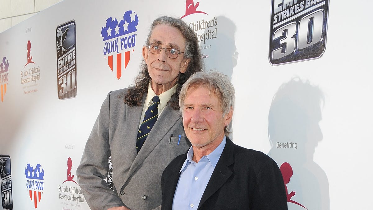 Companheiros e amigos por mais de 30 anos', diz Harrison Ford sobre Peter  Mayhew