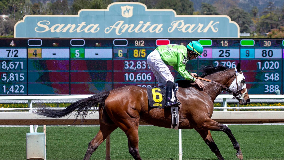 Santa Anita Park Officials Announce They Will Stop Allowing Bets On All   Z66x6lcqe0nh5oq1nauh 